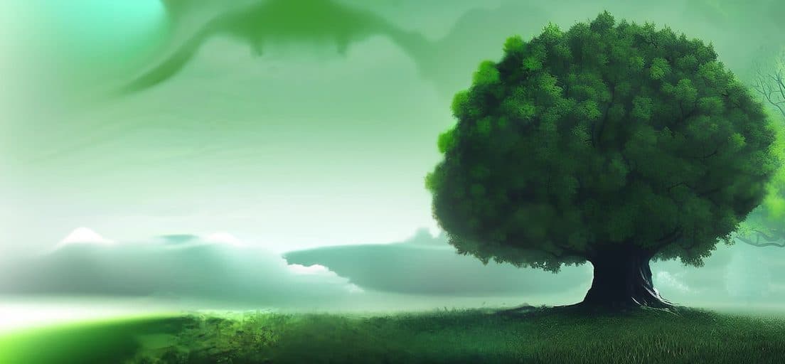 A large solitary tree in the mist